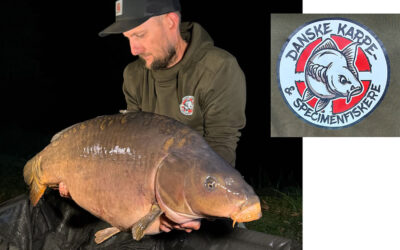 DAIWA OPEN 2026: EN FANTASTISK 24 KILOS KARPE
