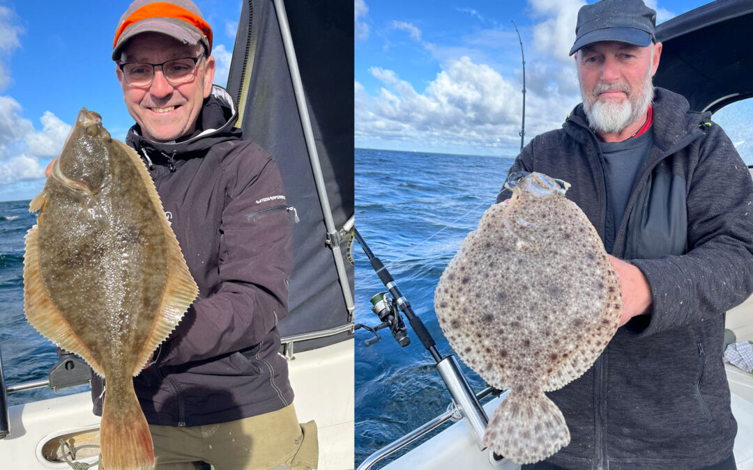 Jesper Larsen med hans kæmpeskrubbe fra Øresund - og Jens Madsen med en flot pighvar.