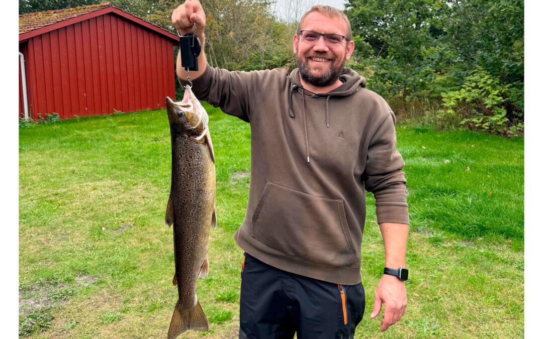 DAIWA OPEN 2026: EN FIN LAKS FRA GUDENÅEN