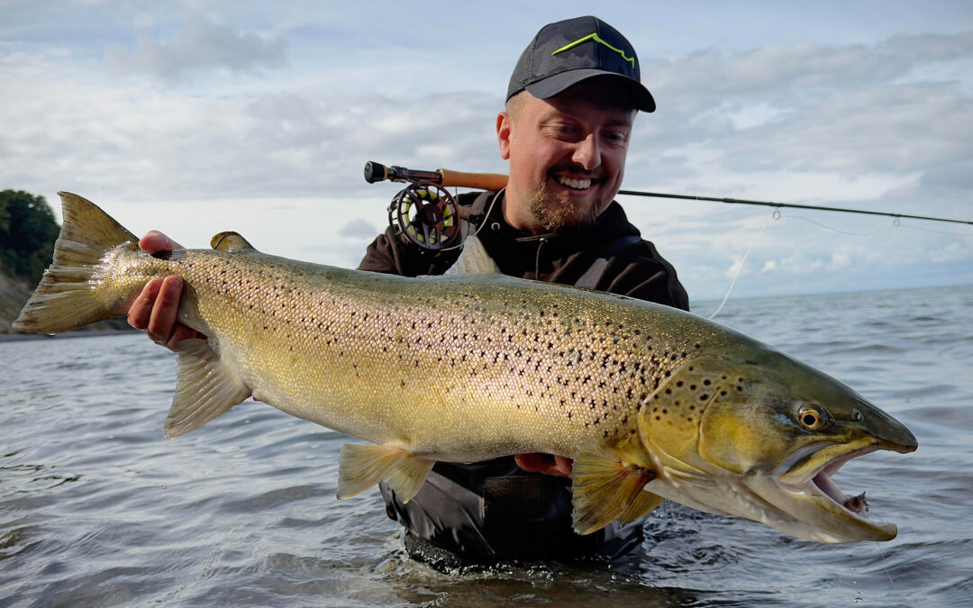 DAIWA OPEN 2026: ET HÅRDT HAVØRREDHUG PÅ PYNTEN