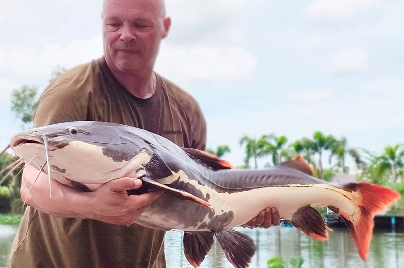 Kim med en af sine flotte redtail catfish - en malleart der oprindeligt stammer fra Amazonas i Sydamerika.