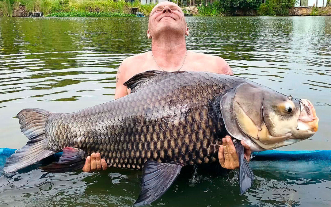 Kim Vejrum Christensen med en fantastisk siamesisk karpe på 75 kilo fra Thailand.
