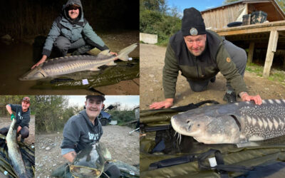 DAIWA OPEN 2026: MALLE, STØR OG SUDER FRA NORDVESTSJÆLLANDS FISKEPARK