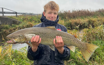 DAIWA OPEN 2026: EN FLOT HAVØRRED FRA ÅEN