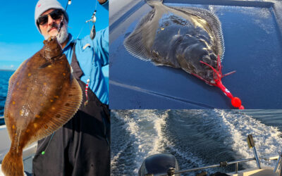 DAIWA OPEN 2026: FIN SÆSONSTART FOR FLADFISKERI I ØRESUND