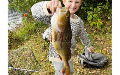DAIWA OPEN 20326: EN GROV ABORRE TIL FELIX