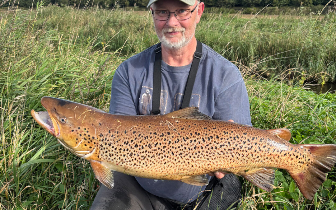 Peder Kirkegaard med sin kæmpe havørred fra BredeÅ, der huggede på en spinner.