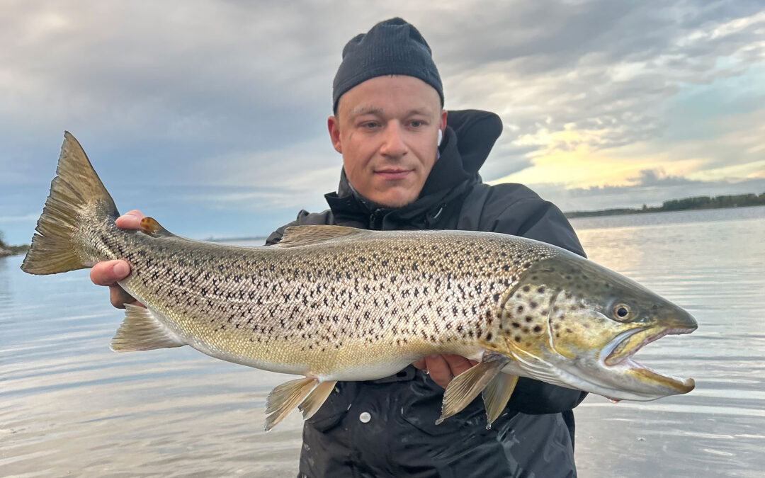 Rasmus Krabbe med en af sine mange flotte havørreder.
