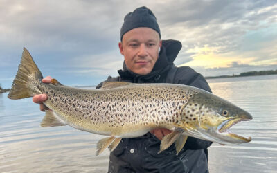 DAIWA OPEN 2026: