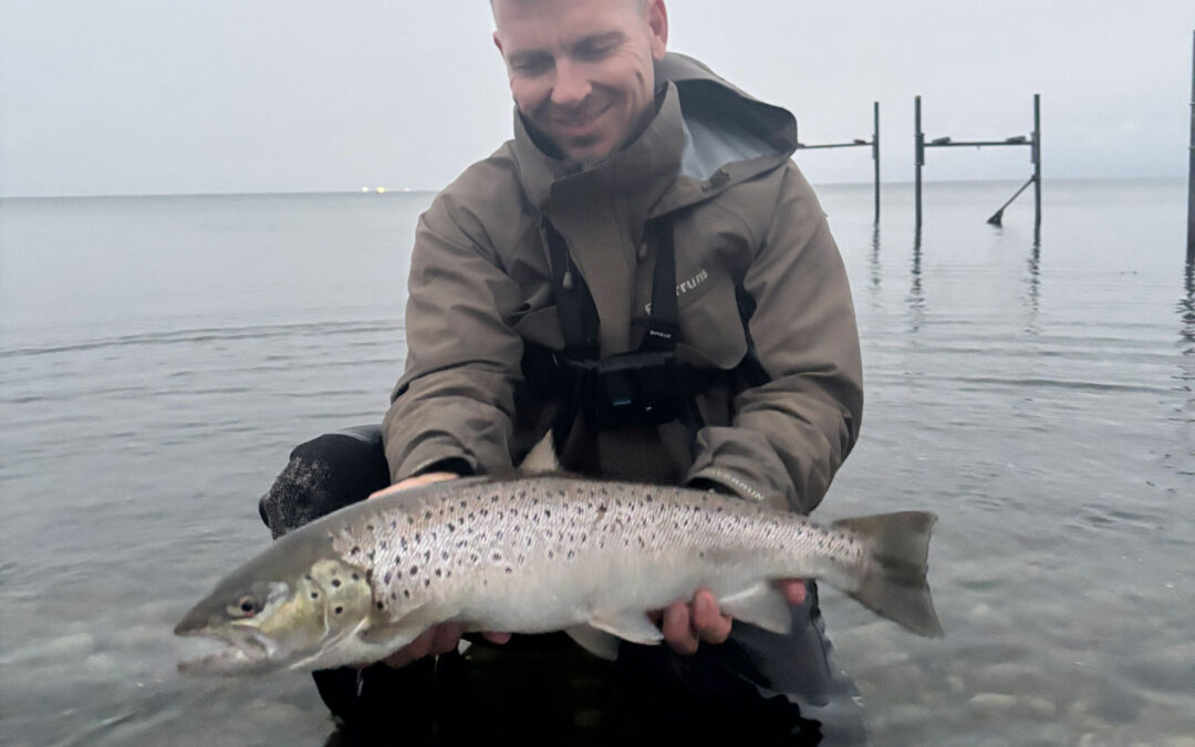 DAIWA OPEN 2026: HUS MED HAVØRRED I BAGHAVEN